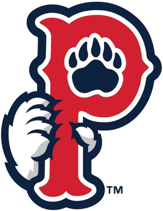 Pawtucket Red Sox 2015-Pres Cap Logo v2 iron on transfers for T-shirts